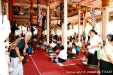 20100221_003968-1.jpg 20100221_003968-1.jpg