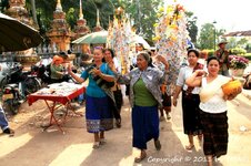 20100221_003971-1.jpg 20100221_003971-1.jpg