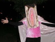 fasching.jpg