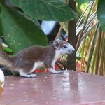 img_1277.jpg