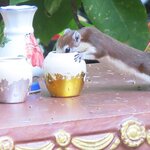 img_1275.jpg