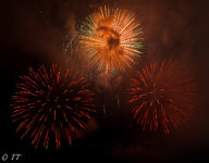 IMG_7638.jpg