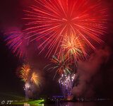 IMG_7731.jpg