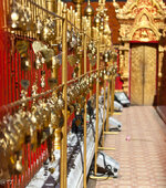 tempel-cm_0027.jpg
