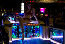 countdown-coyote_0028.jpg