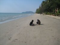 beachy.jpg