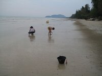 beach2_92570.jpg