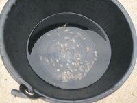 beach3_226220.jpg