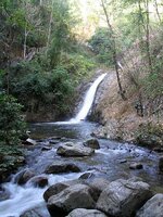 qymoan047068-02.jpg