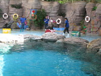 zoo.jpg