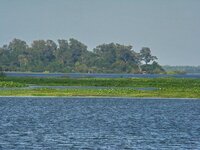 320625_116639555115314_100003078111962_104154_1936057791_n.jpg 320625_116639555115314_100003078111962_104154_1936057791_n.jpg