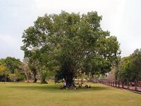 img_0485a.jpg