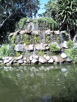 104_732671.jpg