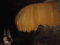 2007_0121schorschthailand070511.jpg