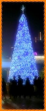 image_329609.jpg