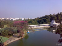 05022009405.jpg
