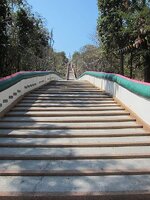 549.jpg
