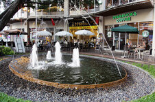 img_7748.jpg