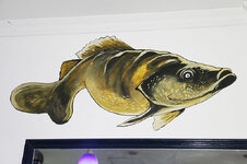 img_2911.jpg