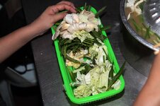 img_4377.jpg
