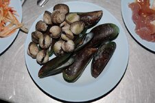 img_4359.jpg