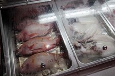 img_4435.jpg