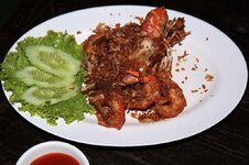 img_1709.jpg