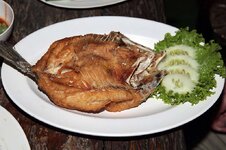img_2469_583012.jpg