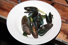 img_9277.jpg