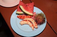 img_4539_743.jpg
