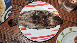 img_8027.jpg