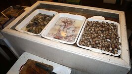 img_6123.jpg