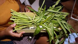 img_6800.jpg