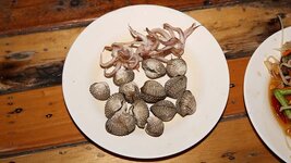 img_6599.jpg