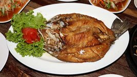 img_9183_892234.jpg