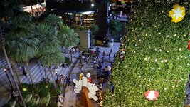 img_10051.jpg