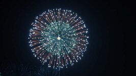 img_12238.jpg