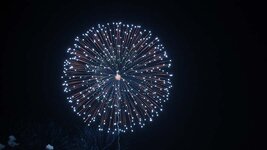 img_12239.jpg