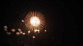 img_12555.jpg