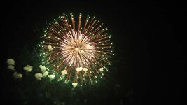 img_12558.jpg