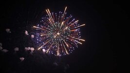 img_12572.jpg