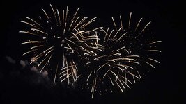img_12845.jpg