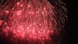 img_13584.jpg