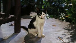 img_4876.jpg
