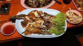 img_5010_735203.jpg