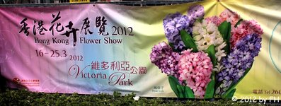 20120315_14086-1.jpg 20120315_14086-1.jpg