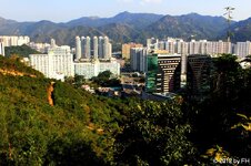 20120317_14847-1.jpg 20120317_14847-1.jpg