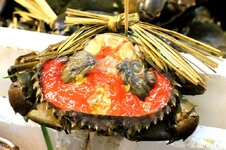 20120317_14647-1.jpg 20120317_14647-1.jpg