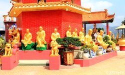 20120317_14769-1.jpg 20120317_14769-1.jpg