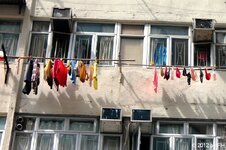 20120316_14237-1.jpg 20120316_14237-1.jpg